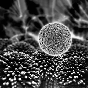 img-3369-65eb1fb1c15c6